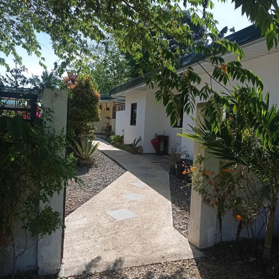 Midnite Inn Panglao Exterior foto